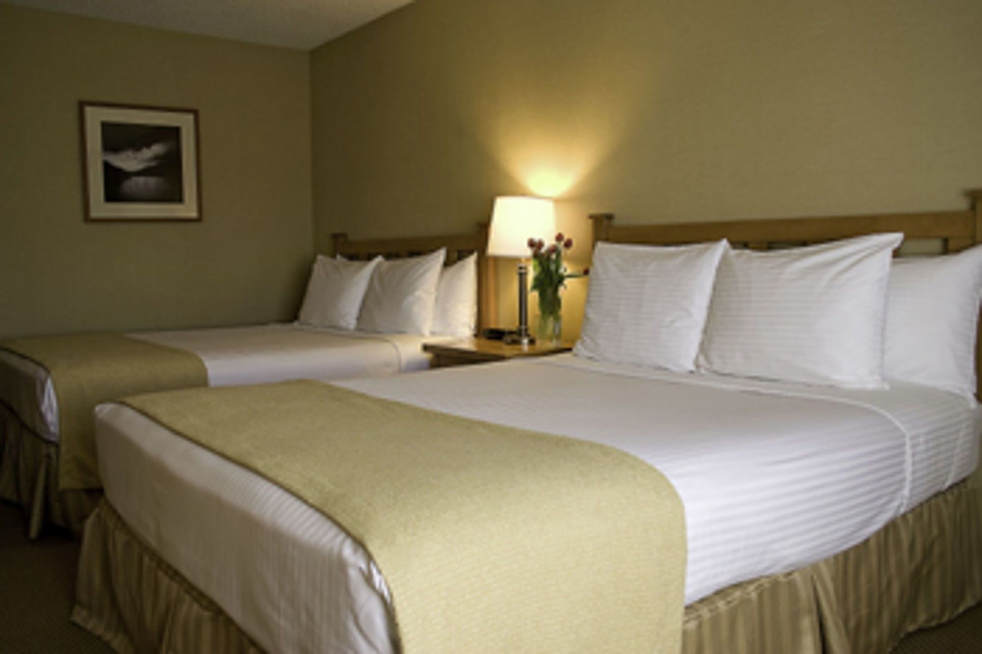 Best Western Seattle Airport Hotel SeaTac Ruang foto